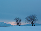 Abendrot im Winter