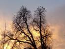 Sonnenuntergang silber-gelb